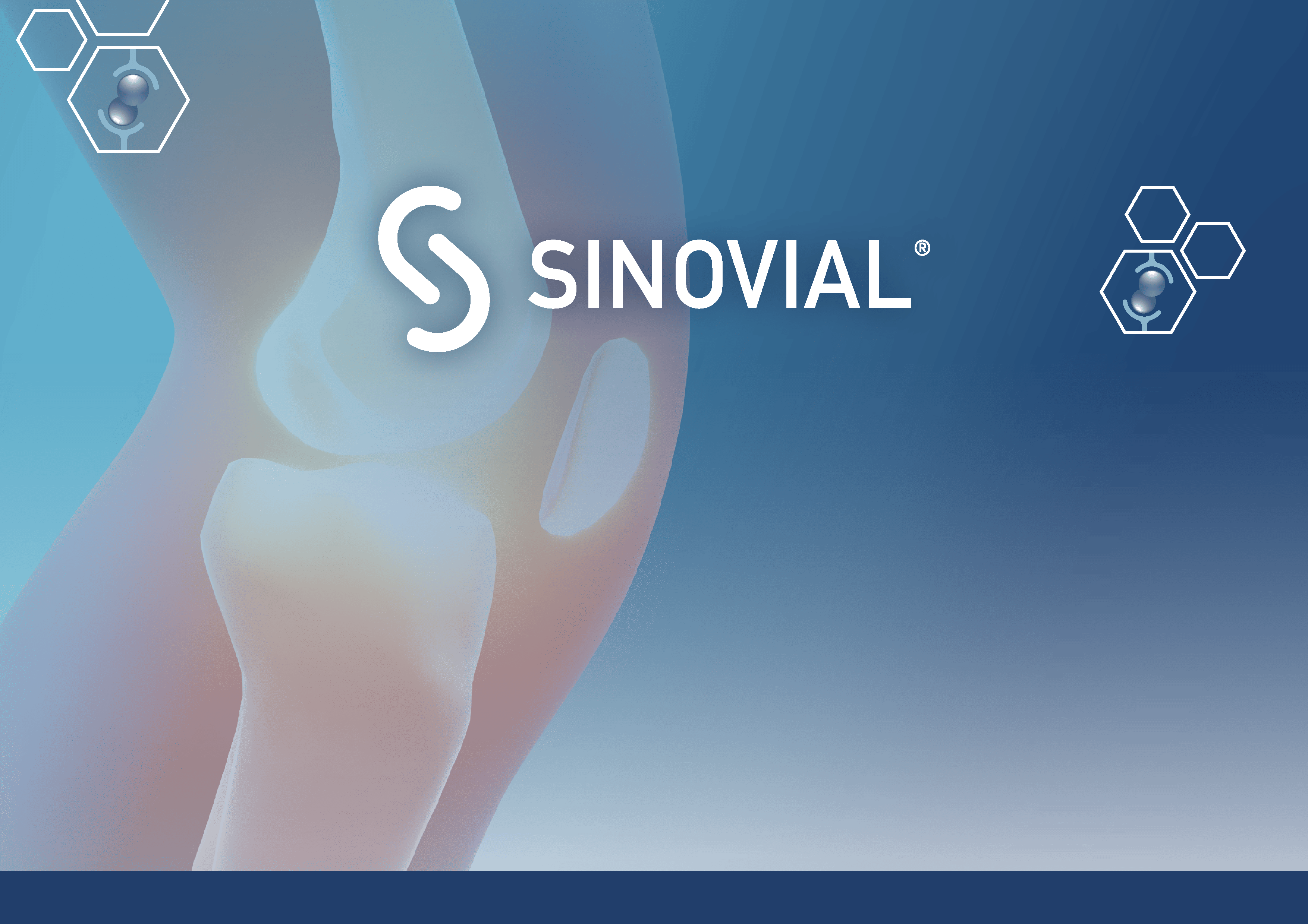 Sinovial - Picture of knee joint with slogan "Bridging the gap with Innovation ™"